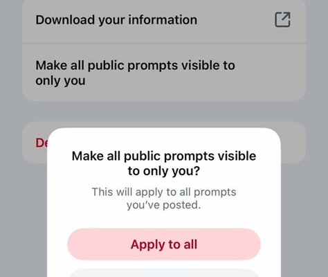 Meta AI Privacy