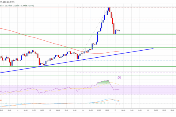 XRP Price Climbs Higher — Is It Finally Turning Attractive to Bulls?
