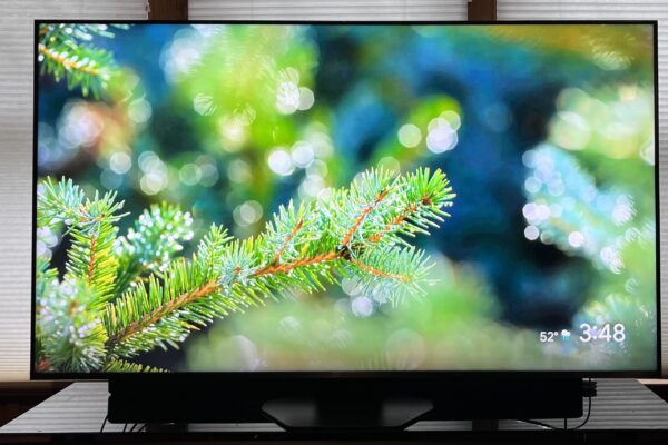 I tested 3 flagship mini-LED TVs – here’s the one I’d spend my own money on Hisense U8QG showing image of pine tree branch