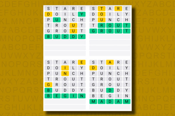 Quordle answers for game 1244 on a yellow background