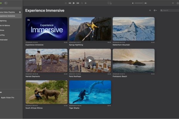 A screenshot showing Apple Immersive Videos