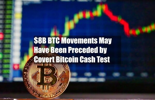 $8 Billion BTC Awakening: Whale Moves Follow a Shadow BCH Probe